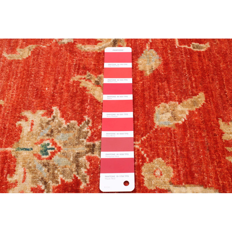 Tapis rouge en laine noué à la main de conception unique 3 pi 11 po x 5 pi 8 po Arizona