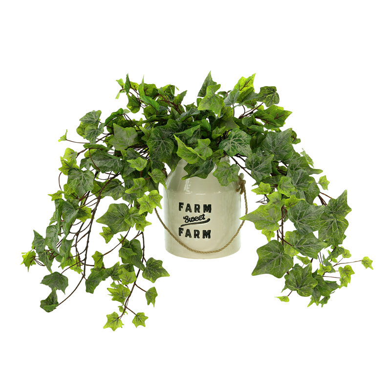 Rio Faux Ivy Plant in Ceramic Pot