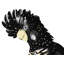 Cockatoo perroquet, art encadré noir