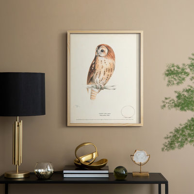Tawny Owl Framed Print - Solid Wood