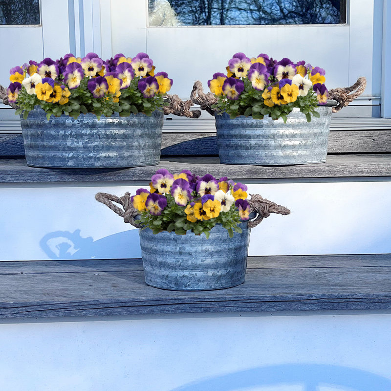 Jardinières galvanisées 3 pièces Sorensen