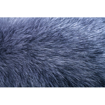 Fluffy Gray Fur Texture by AniTophoto - Wrapped Canvas Print