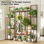 Belva Plant Stand