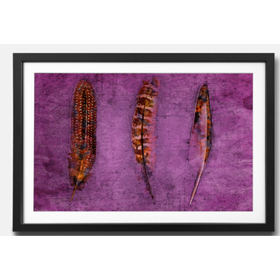 Streetart Feathers And Purple - Single Picture Frame Print