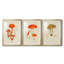 Champignon Variétés IV - Impression sur mesure encadrée de qualité supérieure - 3 pièces-1074393924-1074393925