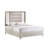 Star Queen Bed With Led