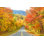 Parc d'État Grafton Notch dans le Maine par Denistangneyjr