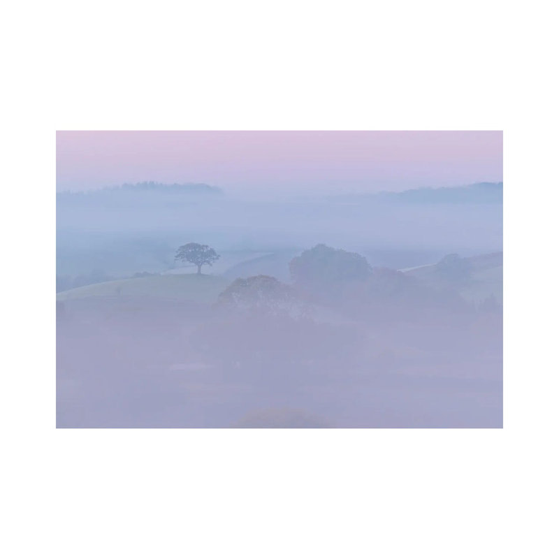 Pretty In Pink by Adam Burton - Wrapped Canvas Print, 20.32 cm H x 30.48 cm W