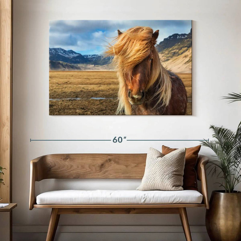 Brampt superbe cheval Islandais, H 32 po x l 48 po