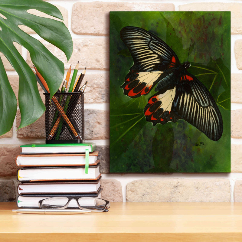 «Simplicity» par Barbara Keith - reproduction d'art sur toile tendue