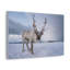 No Frame Print on Canvas-1114821219