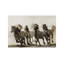 Horse by Heidi Bartsch - Wrapped Canvas Print-1897476552