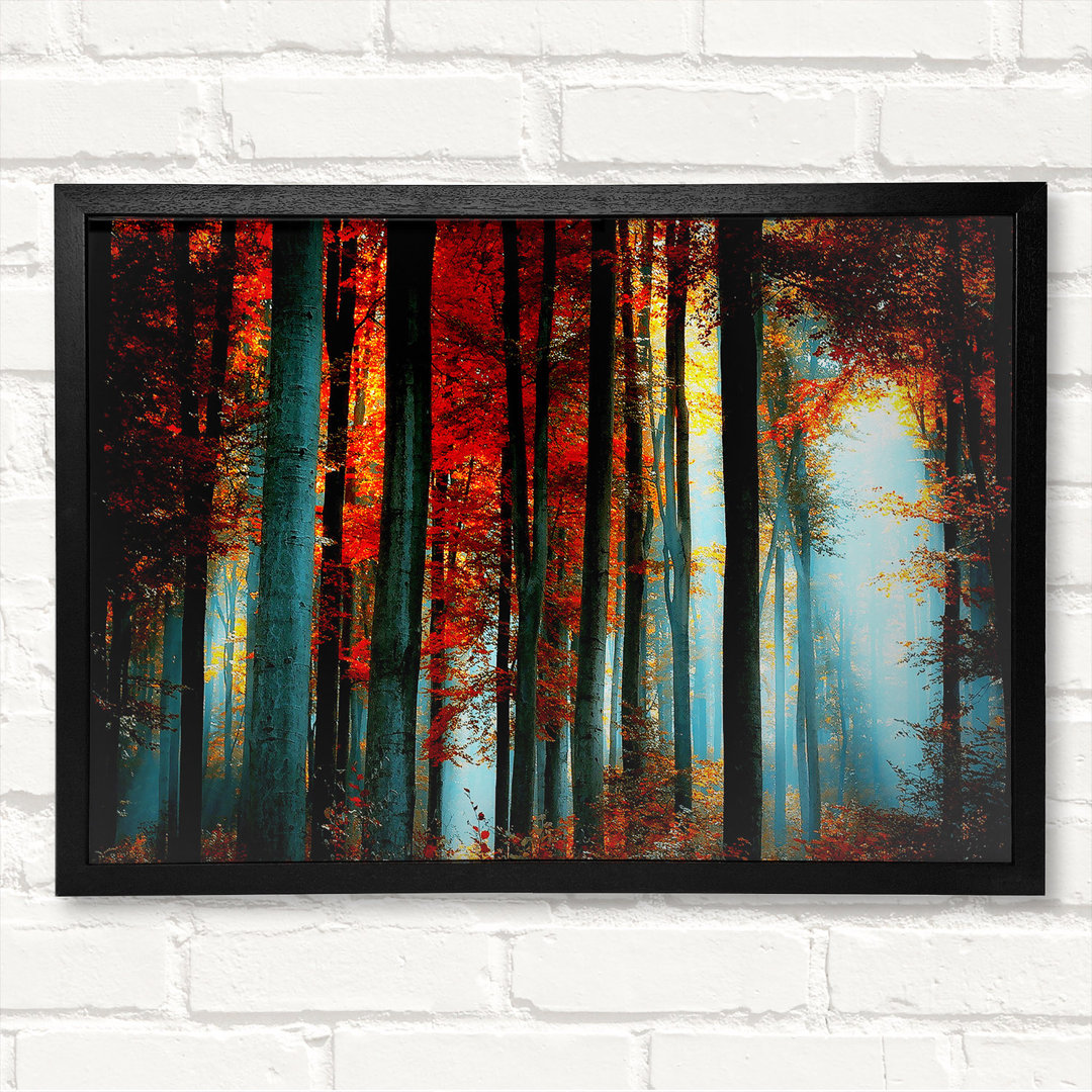 Light Through The Orange Woodland - Geschlossener Eckrahmen Kunstdrucke auf Holz