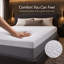 Matelas en mousse à mémoire de forme 12 po Alwyn Home Rockport-2037631007