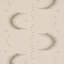 Papier peint Aristelle-866222159