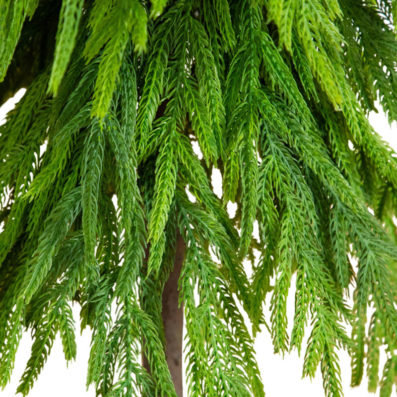 4Ft. Artificial Real Touch Down Swept Norfolk Pine Tree With Natural Look, 3" H x 14" W x 6" D