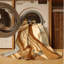 Tapis traditionnel brun / beige lavable à la machine Brooksville-599027546