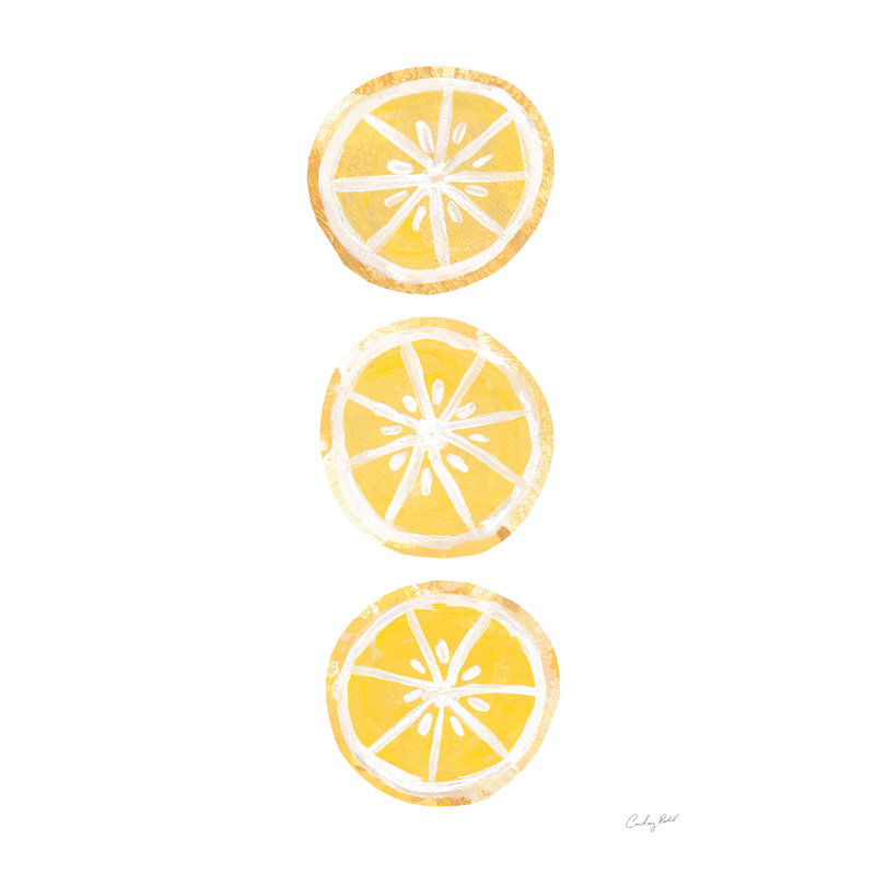 «Lemon Slices II» par Courtney Prahl, peinture, H 36 po x l 24 po, Papier avec cadre simple noir sans passe-partout