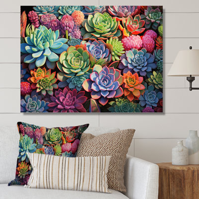 " Colourful Succulents Succulent Abundance "