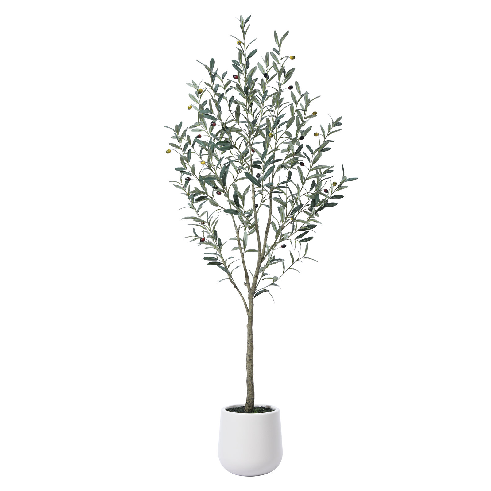 Adcock Olive Tree in Pot, 84" H x 28" W x 28" D