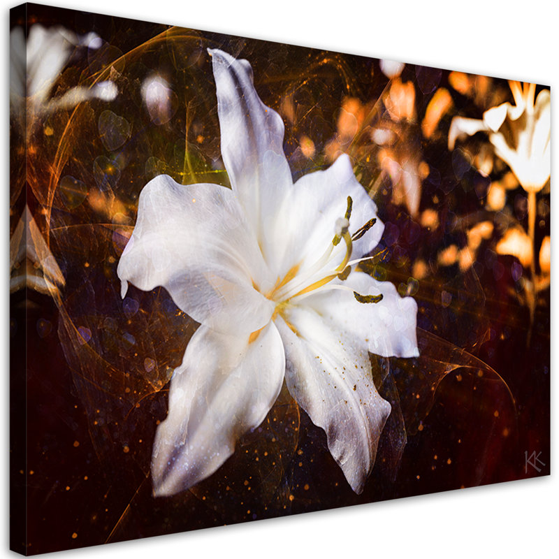 White Lily On A Brown Background - Wrapped Canvas Print, 80cm H x 120cm W