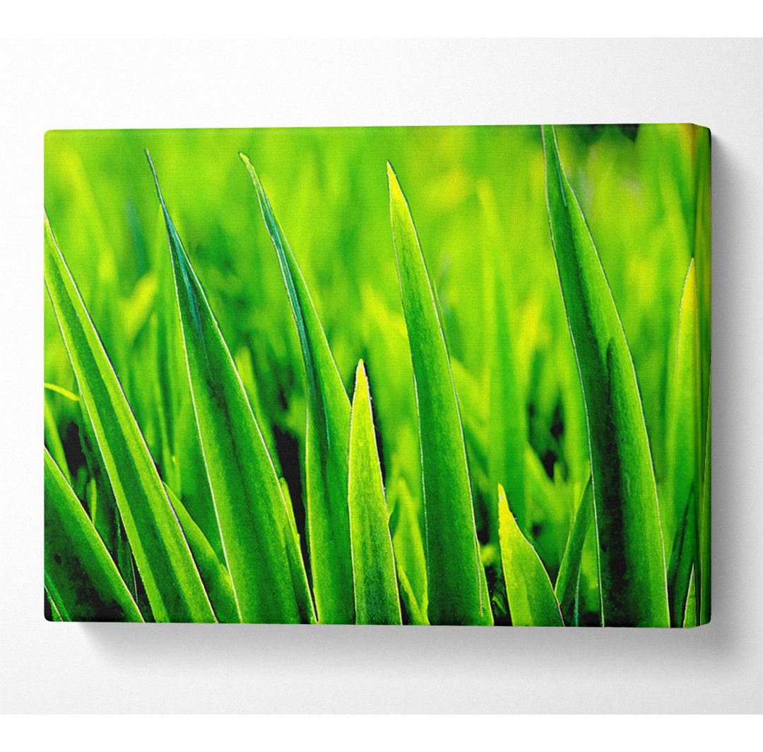 Green Leaf Shafts - Kunstdrucke auf Leinwand - Wrapped Canvas