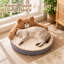 Caricature de lit rond pour chat avec grand dossier et coussin amovible lavable antidérapant à base imperméable toutes saisons, canapé-lit moelleux en velours pour petits chiens de taille moyenne et chiens de moins de 15 lb brun 20,5 x 8,7 po-131243050