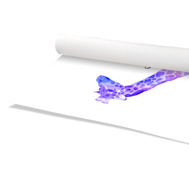 Impression sur papier Rolled Dream Big, H 36 po x l 24 po x P 1 po