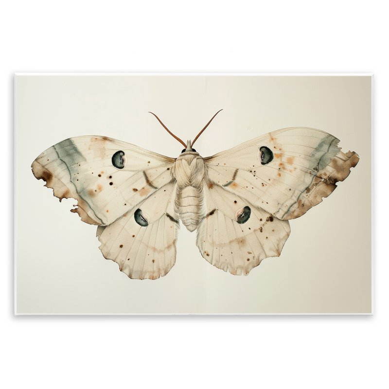 Art mural rétro sur papillon de nuit par Petal Prints Design, H 13 po x l 19 po