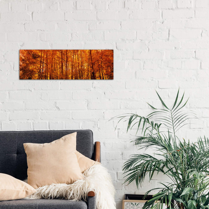 Aspen Trees At Sunrise In Autumn, Colorado, Usa by Panoramic Images - No Frame Panoramic Print on Canvas