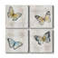 Carte postale papillon I - ensemble de 4 reproductions sur toiles tendues-369605586