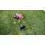 Piquet de jardin Aliya-48932637