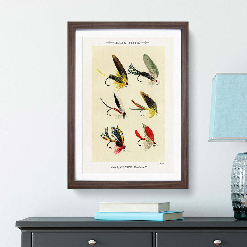 Bass Fishing Flies Versions 5 by Mary Orvis Marbury - Picture Frame Painting Print, 36cm H x 27cm W x 2cm D, Walnut Framed