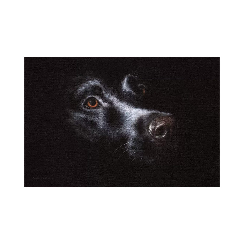 Black Labrador by Rachel Stribbling - Wrapped Canvas Painting, 20.32 cm H x 30.48 cm W