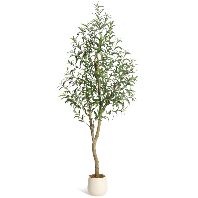 Plant, 1, 183cm H x 20cm W x 20cm D