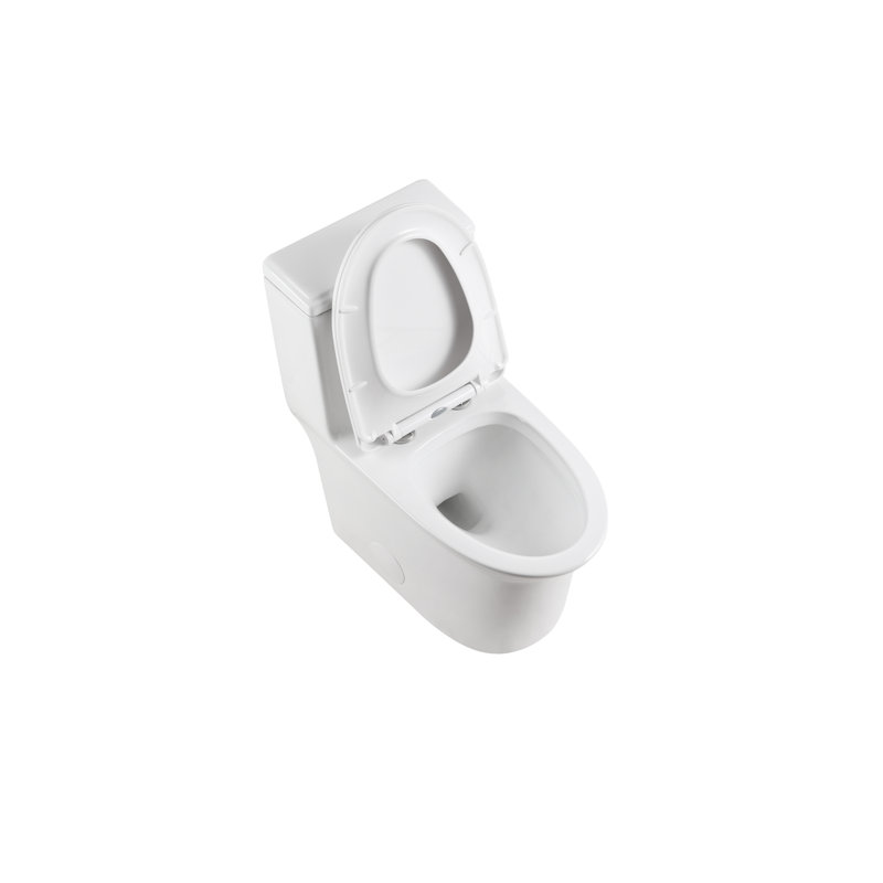 Elongated Comfort Height One-Piece Toilet, Dual Flush, Soft Close Seat, Ceramic, White