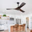 Ventilateur de plafond 52 po Elnathan-609177712-609177713