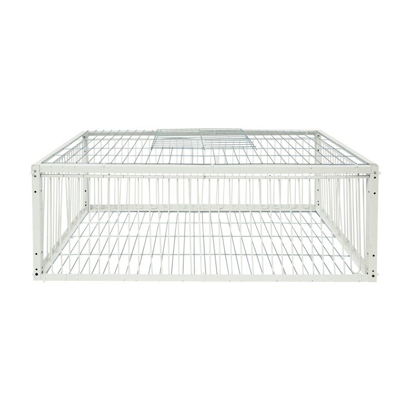 Cage à pigeons rectangulaire autoportante, H 10,23 po x l 15,74 po x P 27,55 po