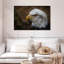 Aigle à tête blanche-108818609