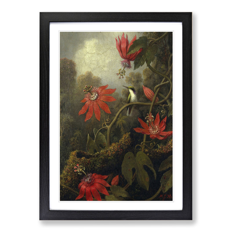 Hummingbird and Flowers by Martin Johnson Heade - Picture Frame Painting, 36cm H x 27cm W x 2cm D, Black Framed