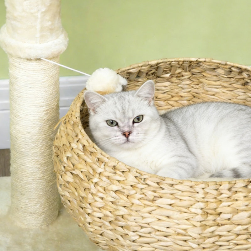 Arbre d'activité pour chat crème à fleurs élégantes, condo pour chat en panneau de particules robuste avec lits surélevés épais, centre de jeu décoratif pour animaux de compagnie pour petits chats