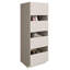Freestanding Bathroom Cabinet