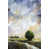 Wrapped Canvas selected