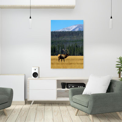 Bull, élan dans l'herbe, paisible, abstrait, pin contemporain, taureau, forêt, paysage, art