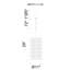 Luminaire suspendu cylindrique unique 4 lumières Hargett