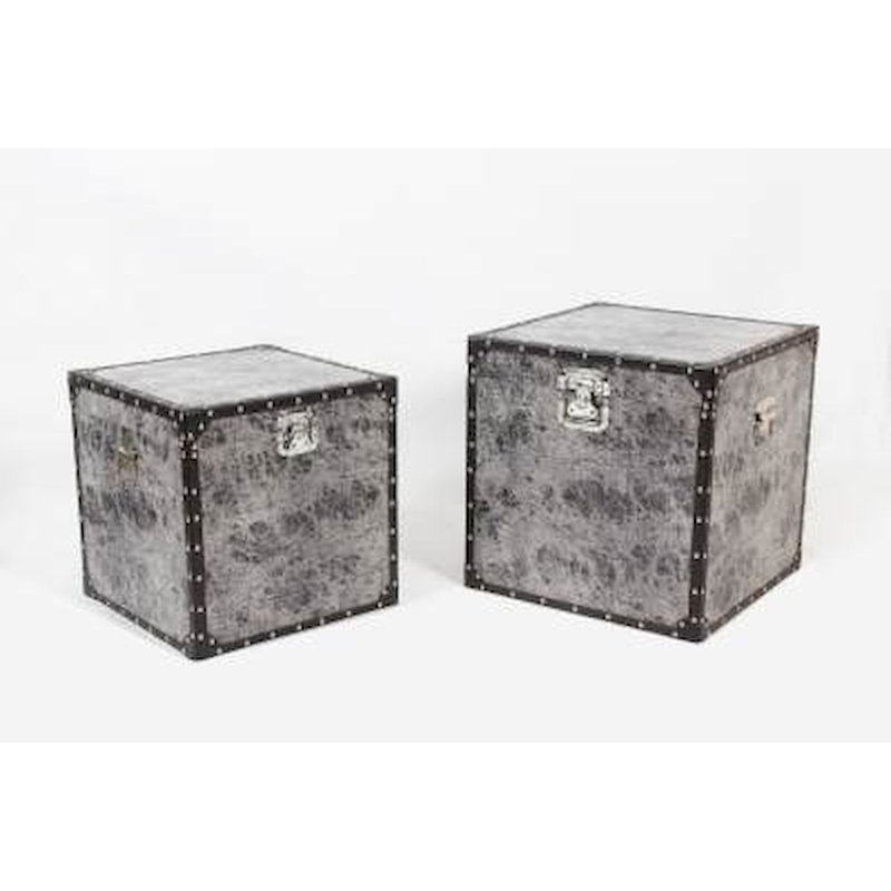 Emmett 2 Piece Metal Camp Trunk / Footlocker