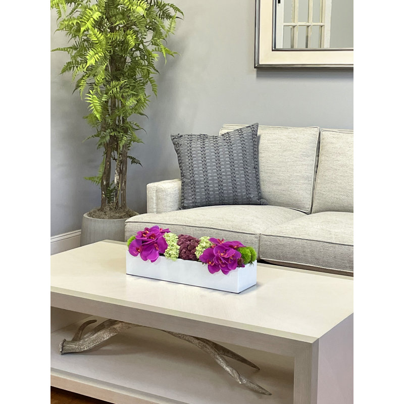 Modern Orchid and Succulent Arrangement