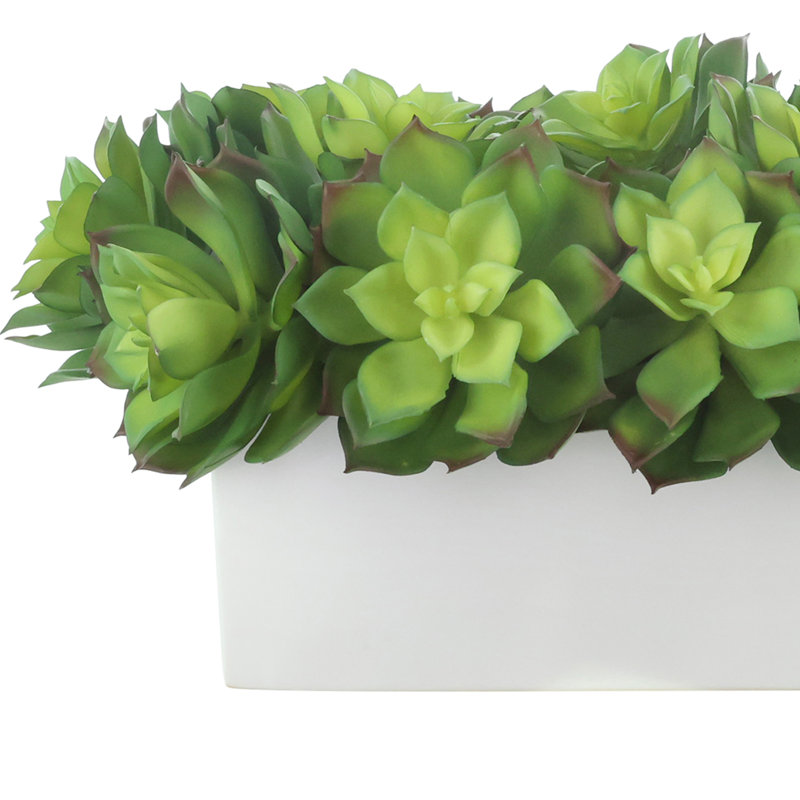 Faux Succulent Ceramic, 8" H x 16" W x 10" D