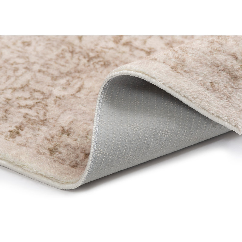 Jiah Washable Oriental Indoor Rug, Rectangle 5' x 8'