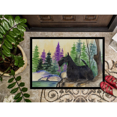 Non-Slip Outdoor Doormat